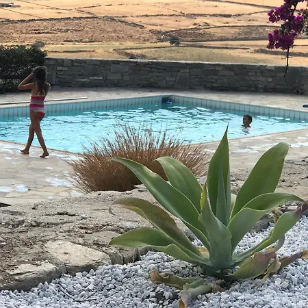 Helios On Golden * كريس أكتي