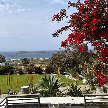 Helios On Golden فيلة *