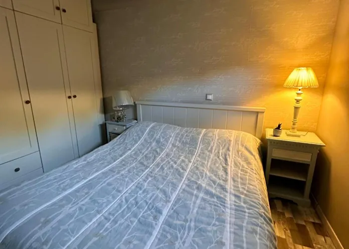 Helios On Golden * كريس أكتي